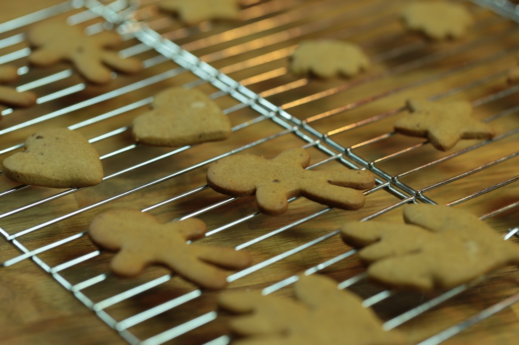 Técnica da Receita de Como Fazer Biscoito de Gengibre ou Gingerbread | Como  fazer em vídeo | GA2 - Gourmet a dois